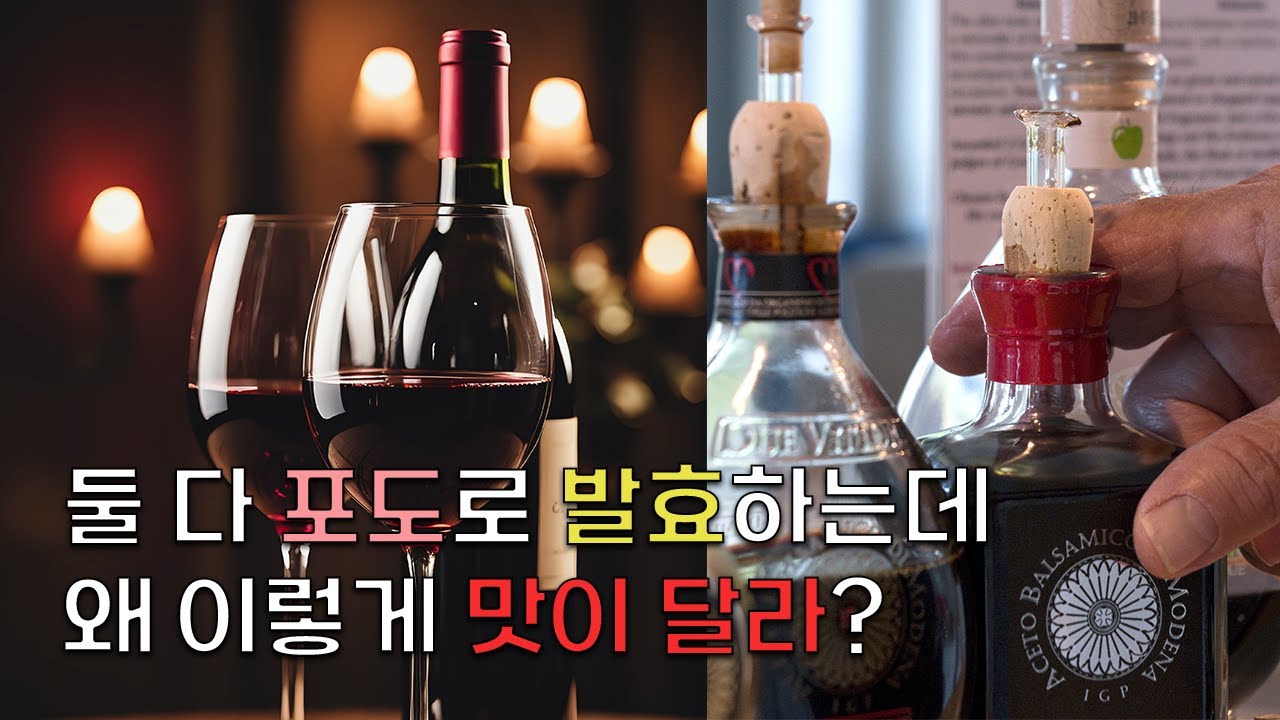 똑같은 포도로 발효했는데 왜 맛이 달라?|알코올발효와 초산발효의 차이(Difference of alcoholic fermentation and acetic fermentation)