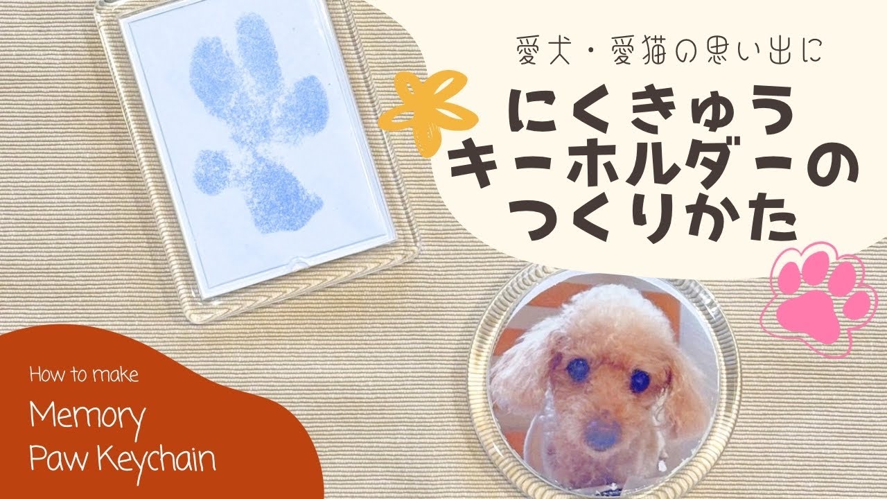 世界に一つだけの肉球キーホルダーが宝物すぎた🐾🩵