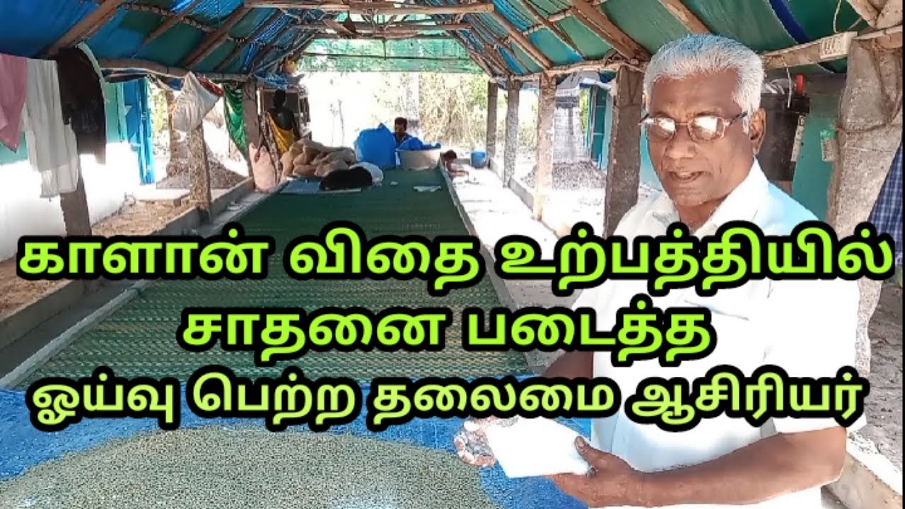 காளான் விதை உற்பத்தியில் சாதனை படைத்த ஓய்வு பெற்ற தலைமை ஆசிரியர் | காளான் விதை | mushroom seeds