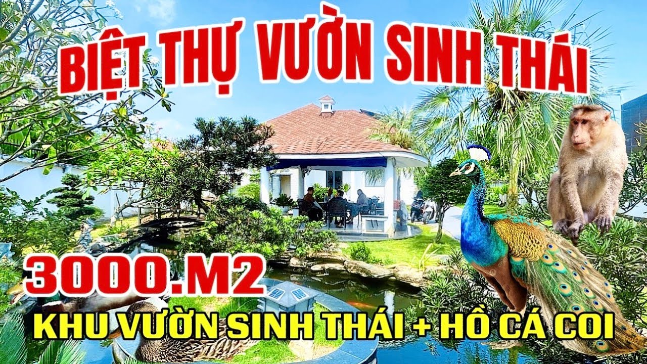Tập 8. BIỆT THỰ GẦN CHỢ BÌNH CHÁNH . Đúng Nghĩ Dưỡng Kèm khu Sinh Thái
