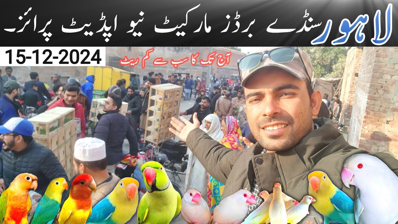 Lahore sunday birds market New update price 15-12-2024 #lahorientertainmentchannel #birds #parrot