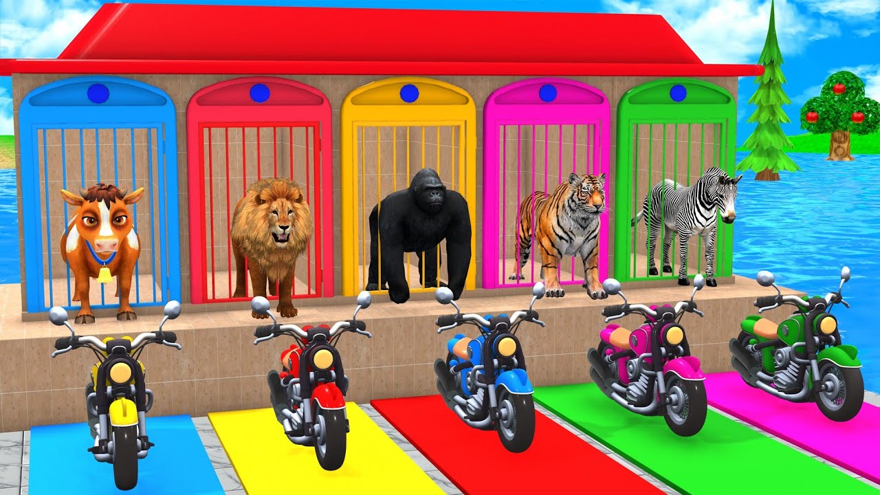 Long Slide Game with Cow Elephant Gorilla Hippopotamus Tiger 3d Animal Game Funny 3d Animals