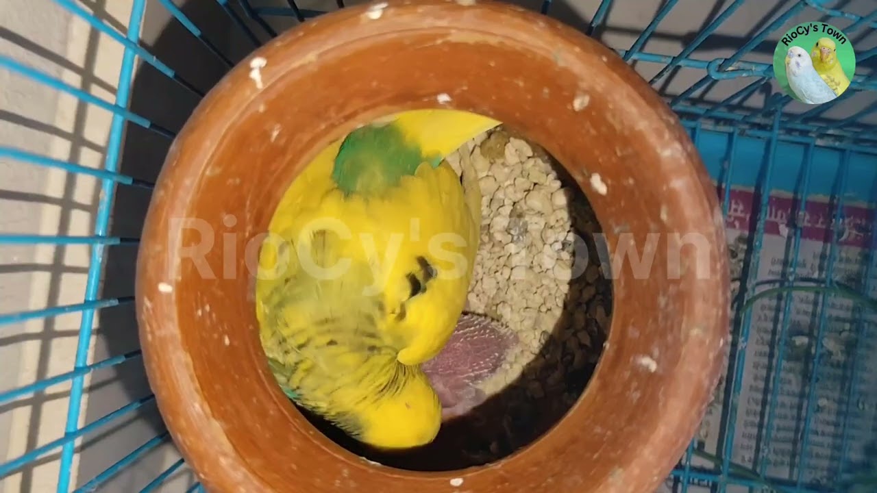 Test 2