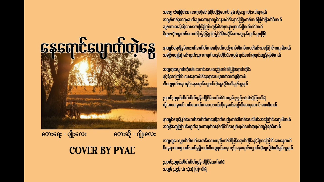  နေရောင်ပျောက်တဲ့နွေ - Joe Lay (Cover By PYAE)