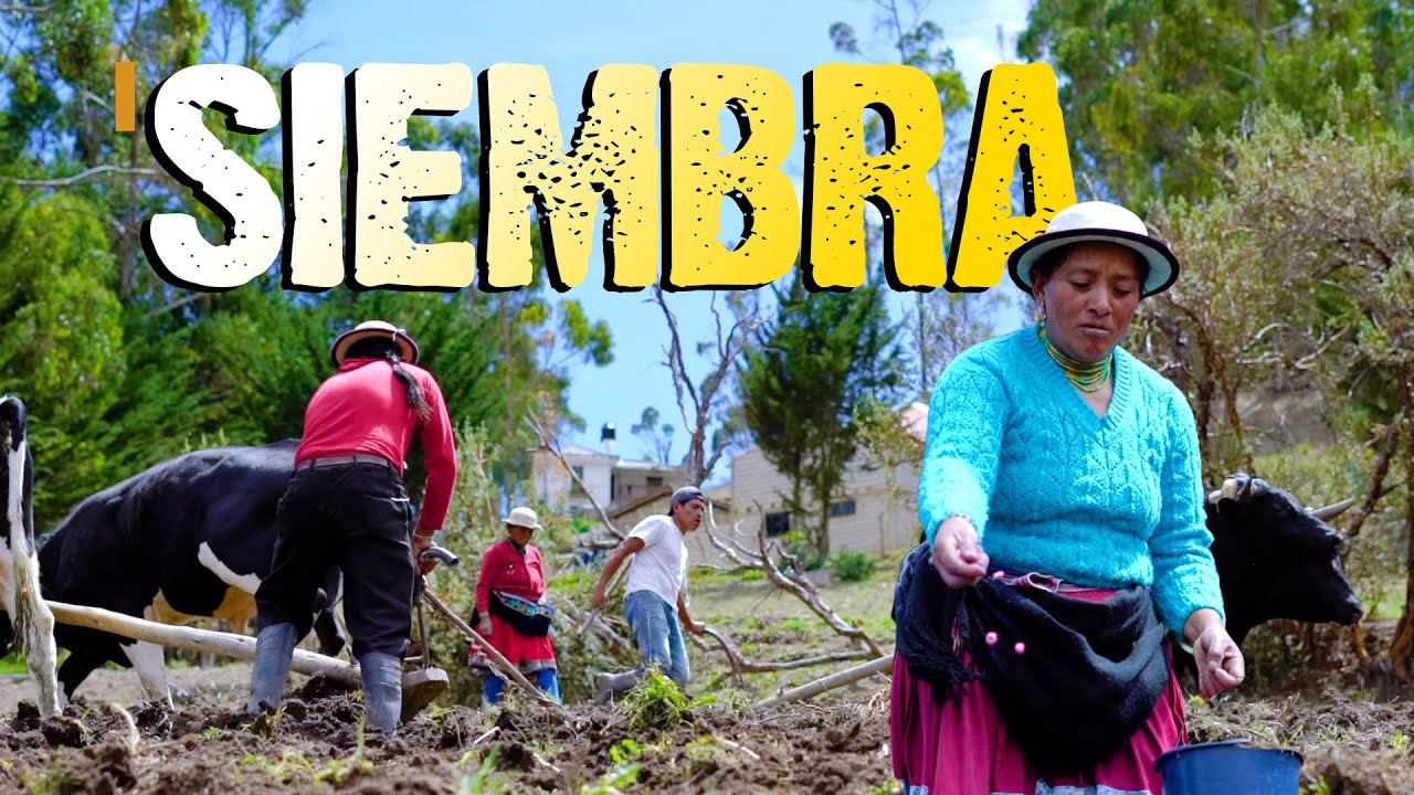 La MINGA en nuestros campos continúan I Doctv Ecuador