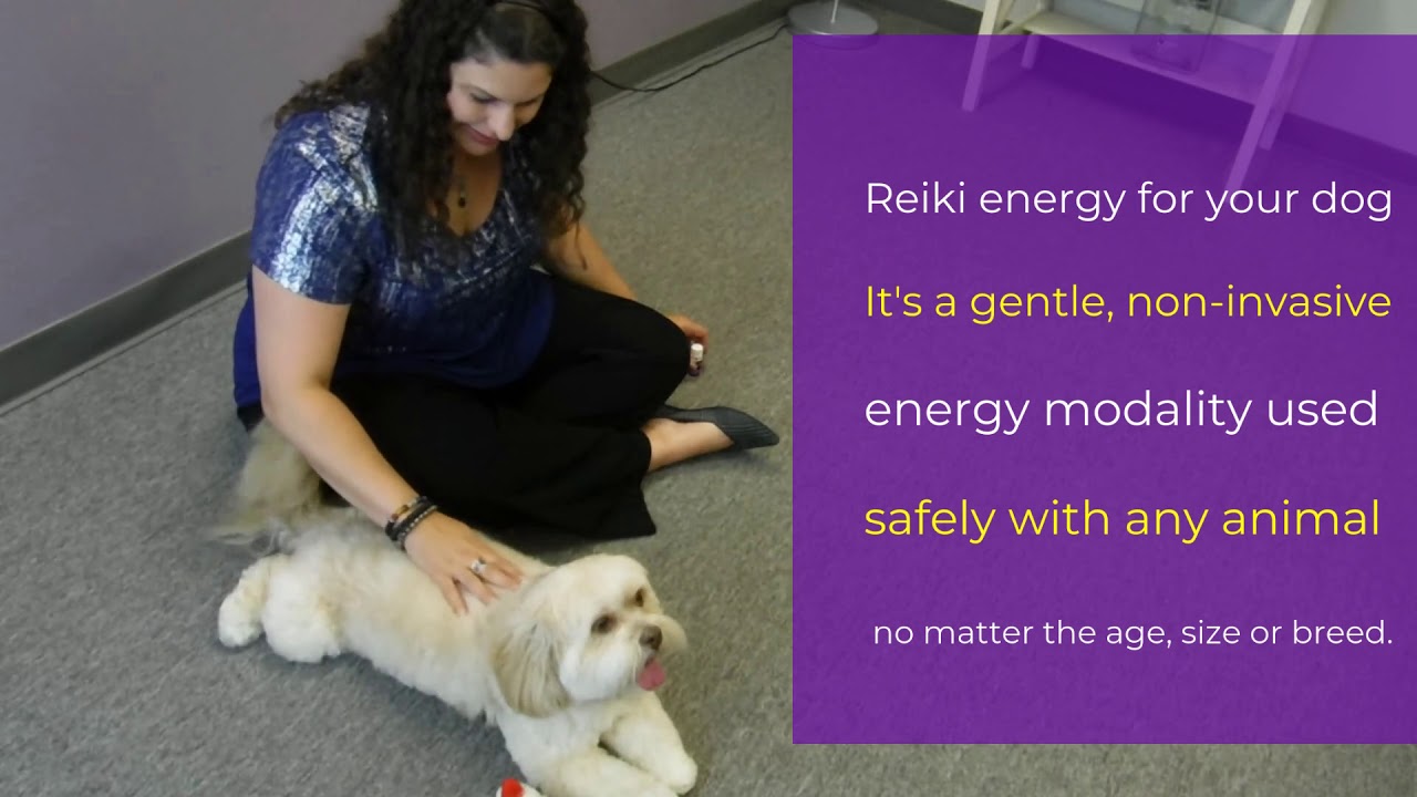 How does Reiki for dogs and pets work?