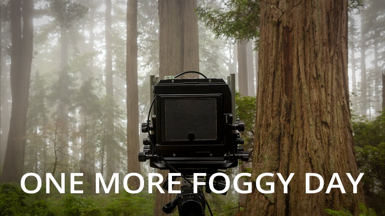 One Last Morning Of Fog | Large Format Photography 2021 - Episode 7