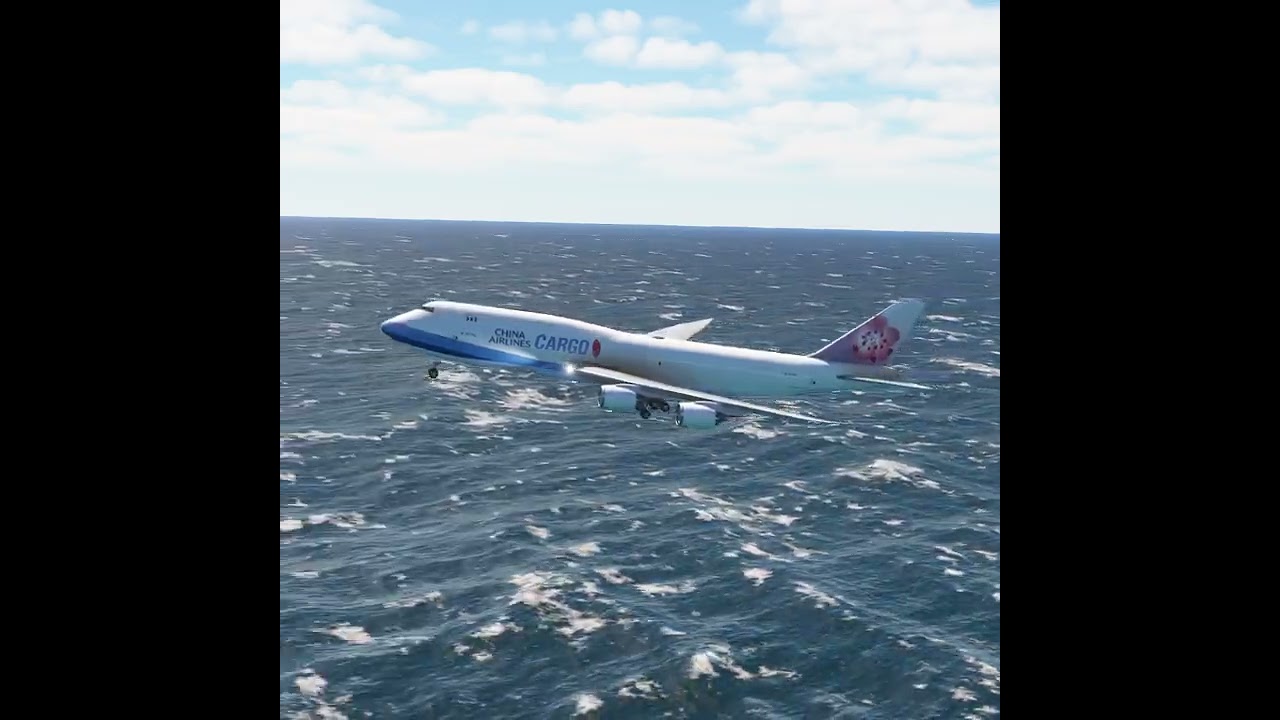 the pilot's actions endangered the plane's passengers EP317