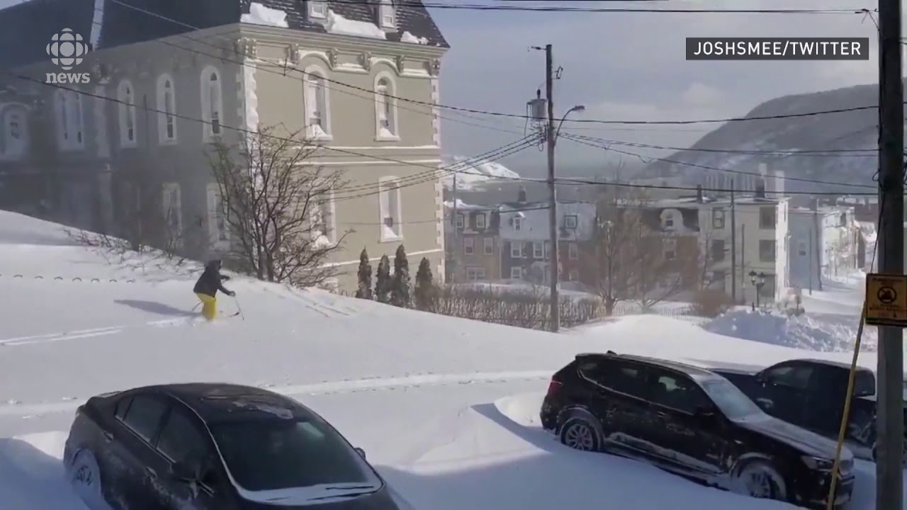 Newfoundland's blizzard, as seen by you