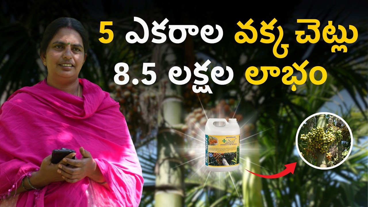 5 ఎకరాల అడకె తోటలో అద్భుత మార్పు! | 3 లక్షలు ➜ 8 లక్షల ఆదాయం | డా. సాయిల్ ప్రభావం