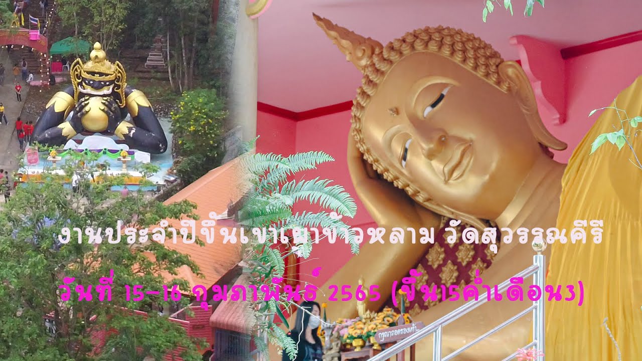 งานประจำปีขึ้นเขาเผาข้าวหลาม วัดสุวรรณคีรี   เขาดงยาง อ พนมสารคาม จ ฉะเชิงเทรา