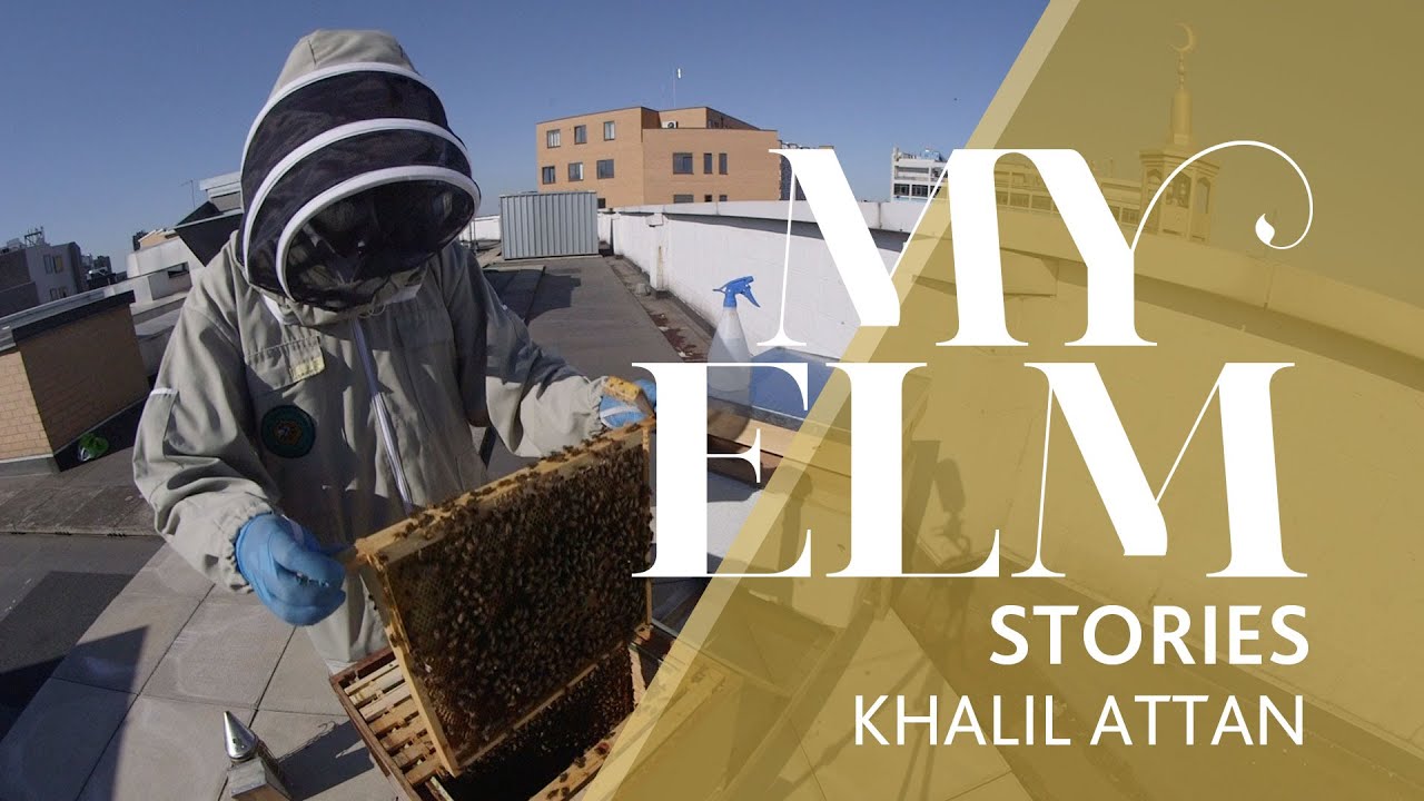 MyELM Story: Khalil Attan, Beekeeper