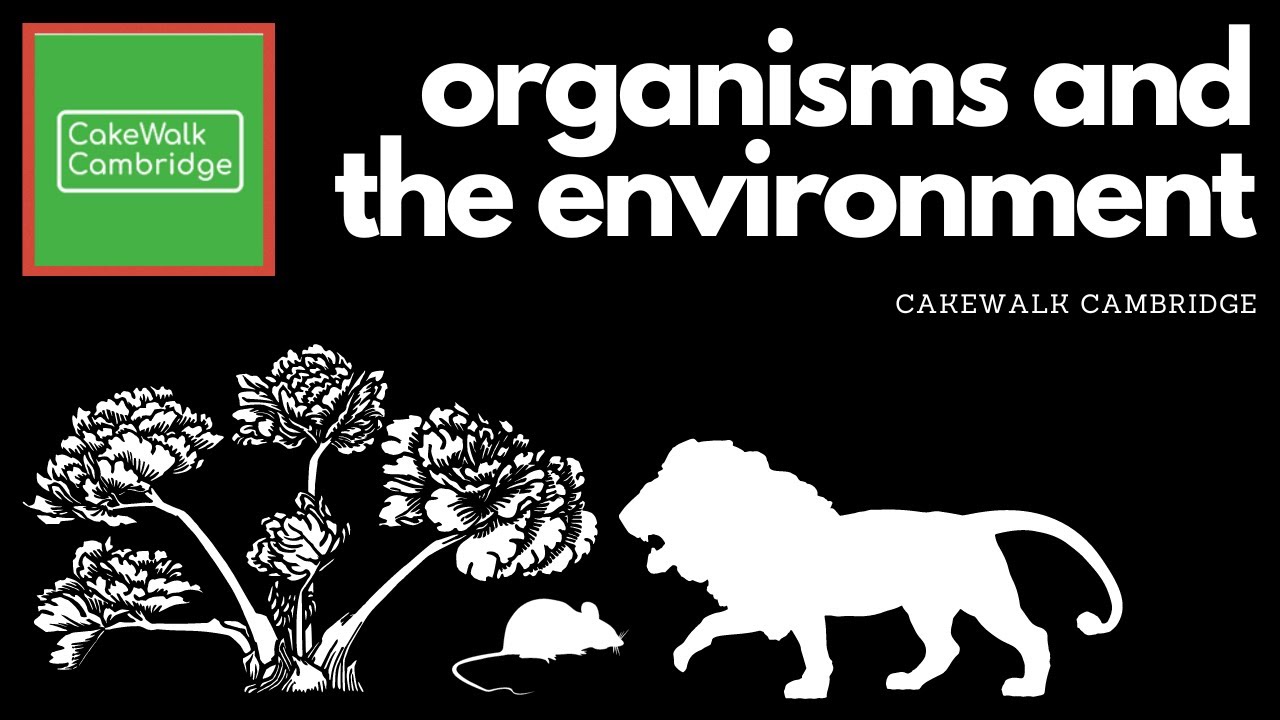 IGCSE Biology 19 - Organisms and the Environment | CakeWalk Cambridge