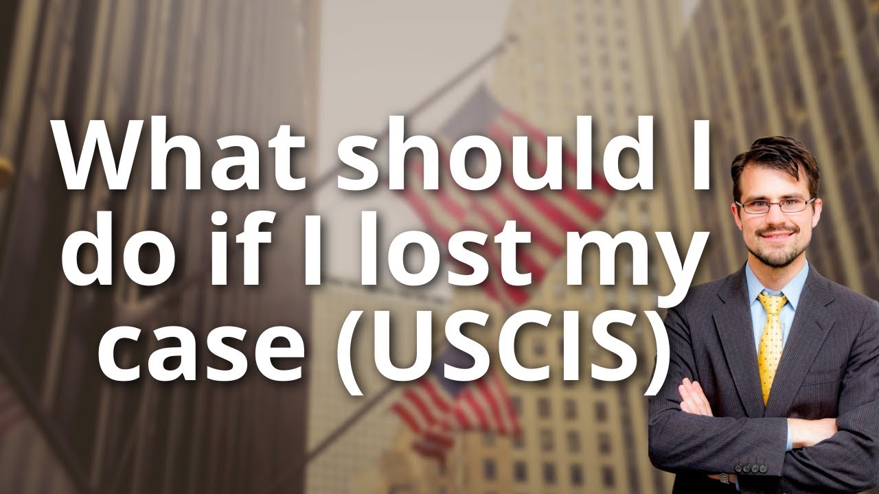 What should I do If I lost my case - USCIS?