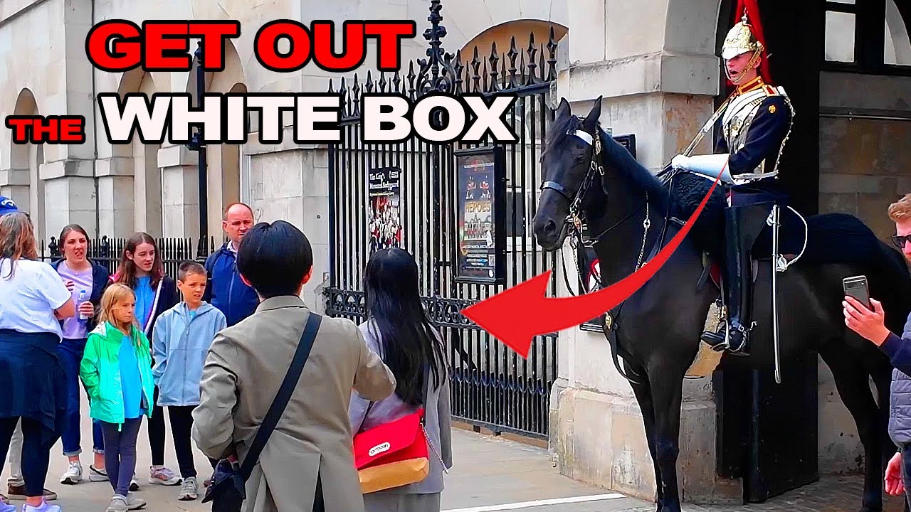 😡The Guard Has Had Enough! Tourists Push the Limits at Horse Guards.!