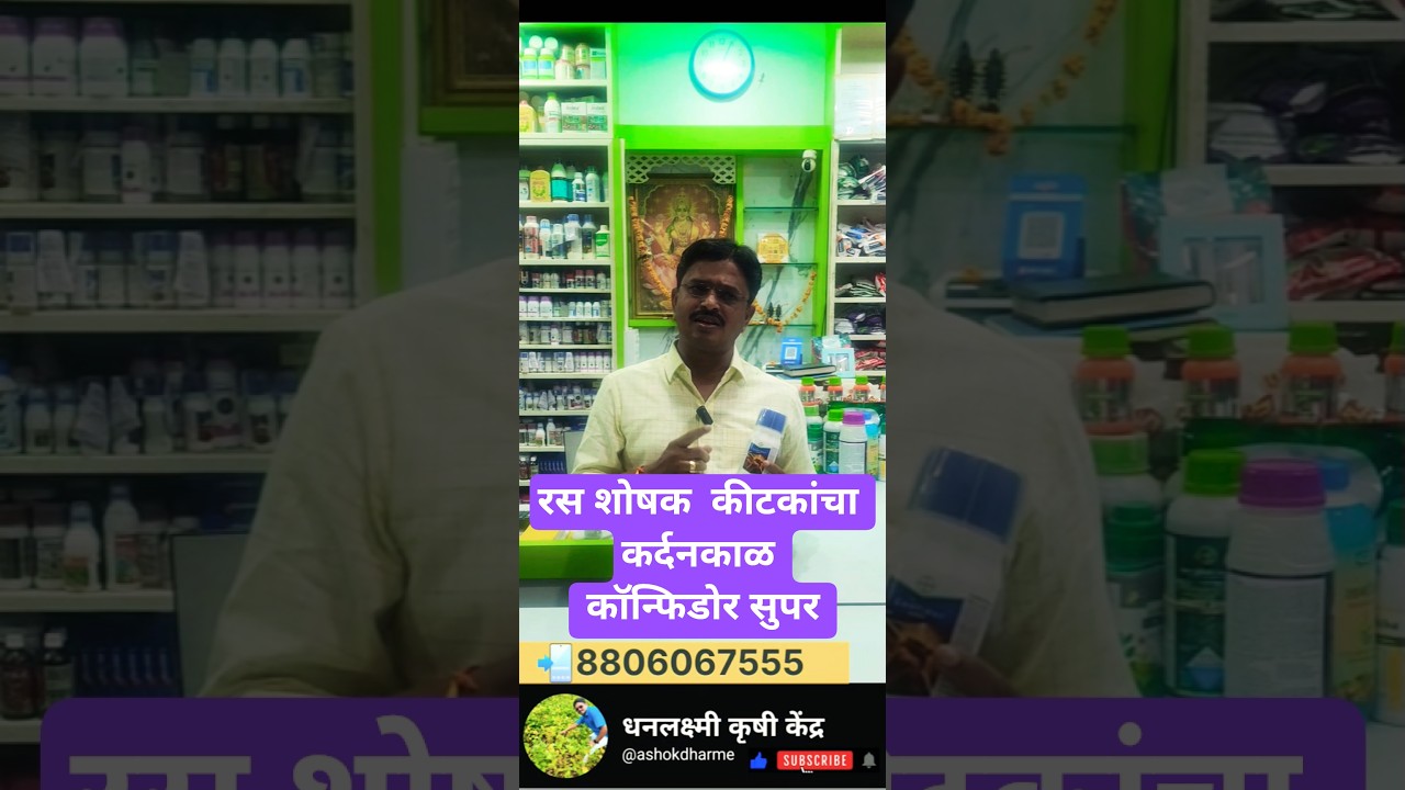 ☘️रस शोषक कीटकांचा कर्दनकाळ आता नव्या रूपात बायर कॉन्फिडोर सुपर फक्त एकच🙏