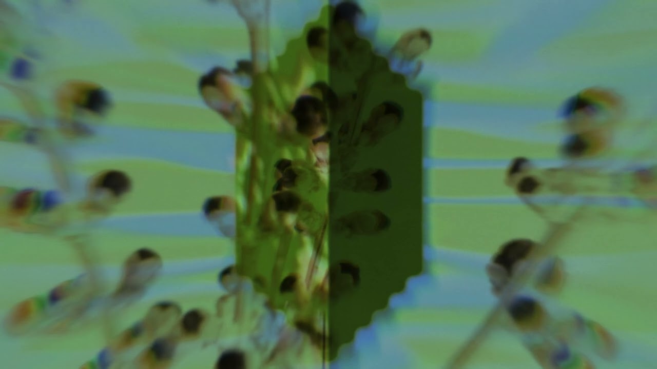 My Epic - Wildflowers (Official Visualizer)