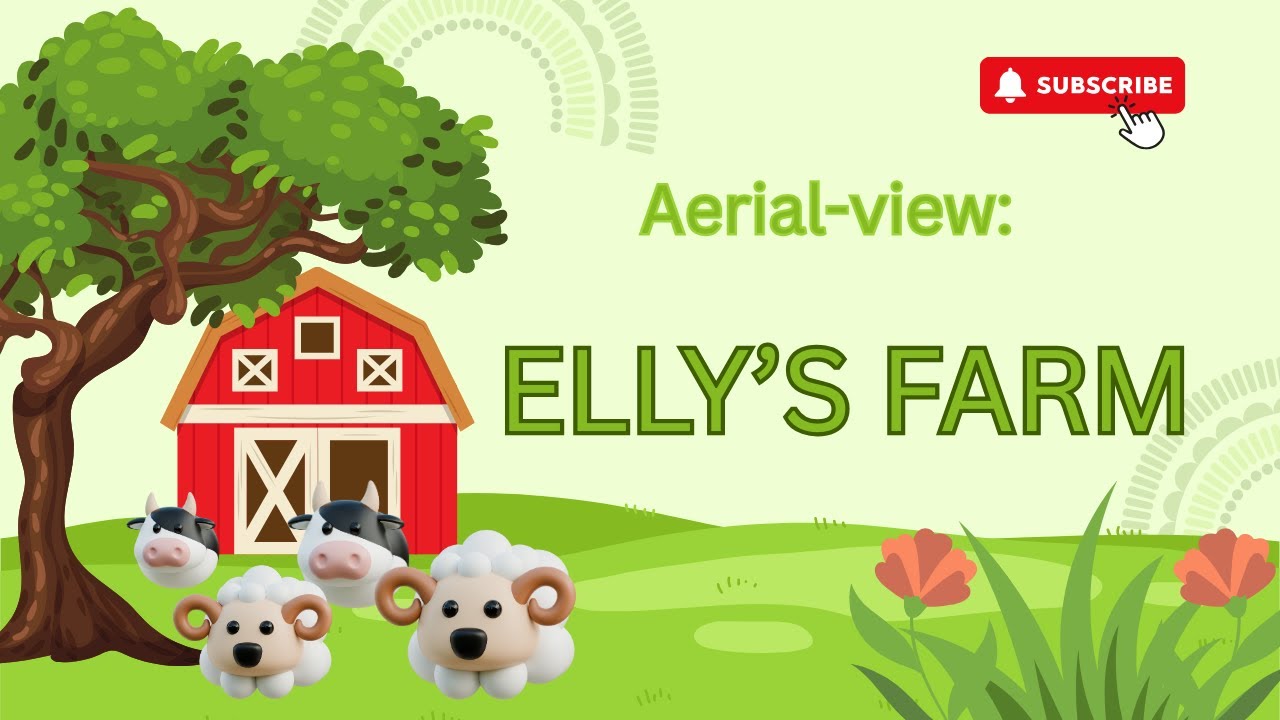 AERIAL VIEW: ELLY'S FARM
