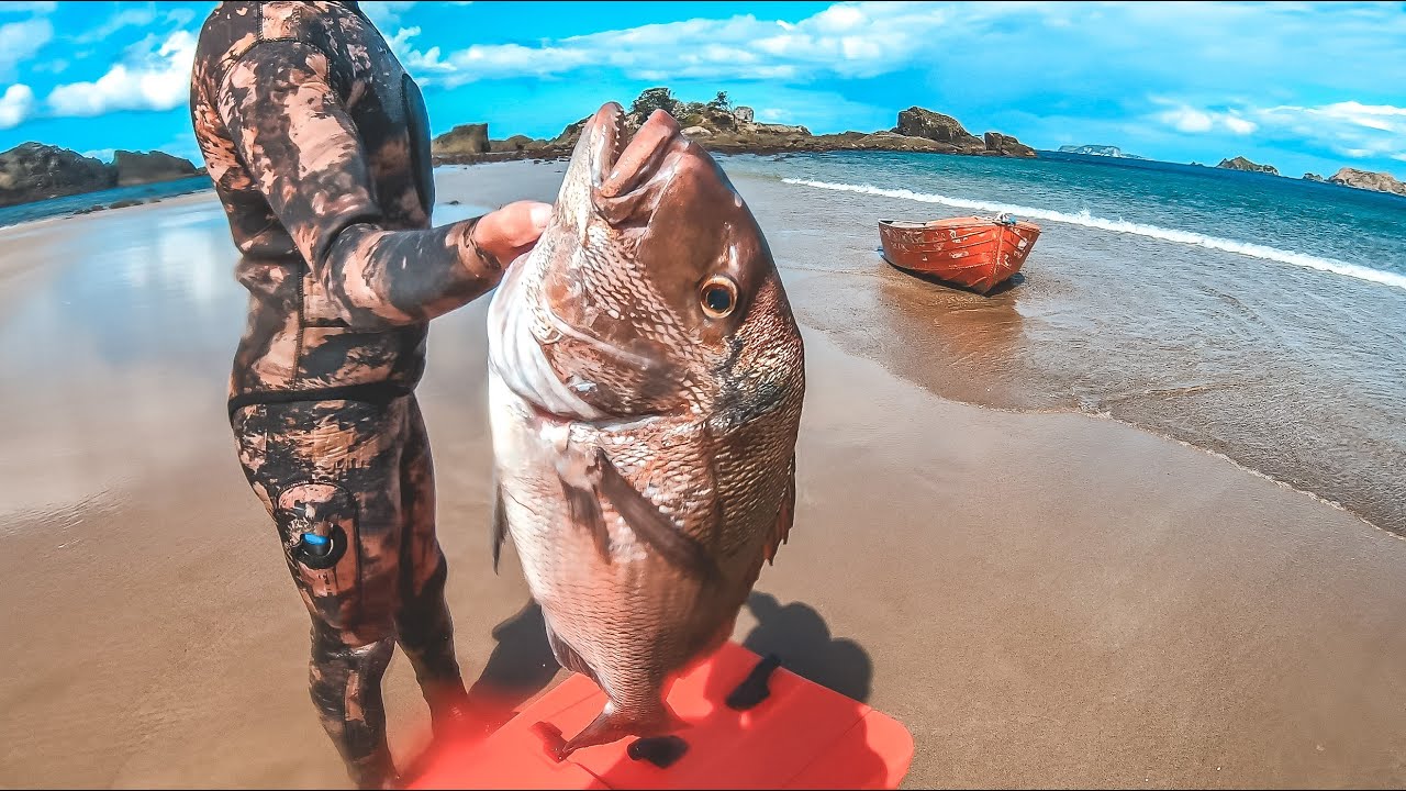 Big Sharks | Big Wind | 8 Foot Tinny - Coromandel Spearfishing (PT1)