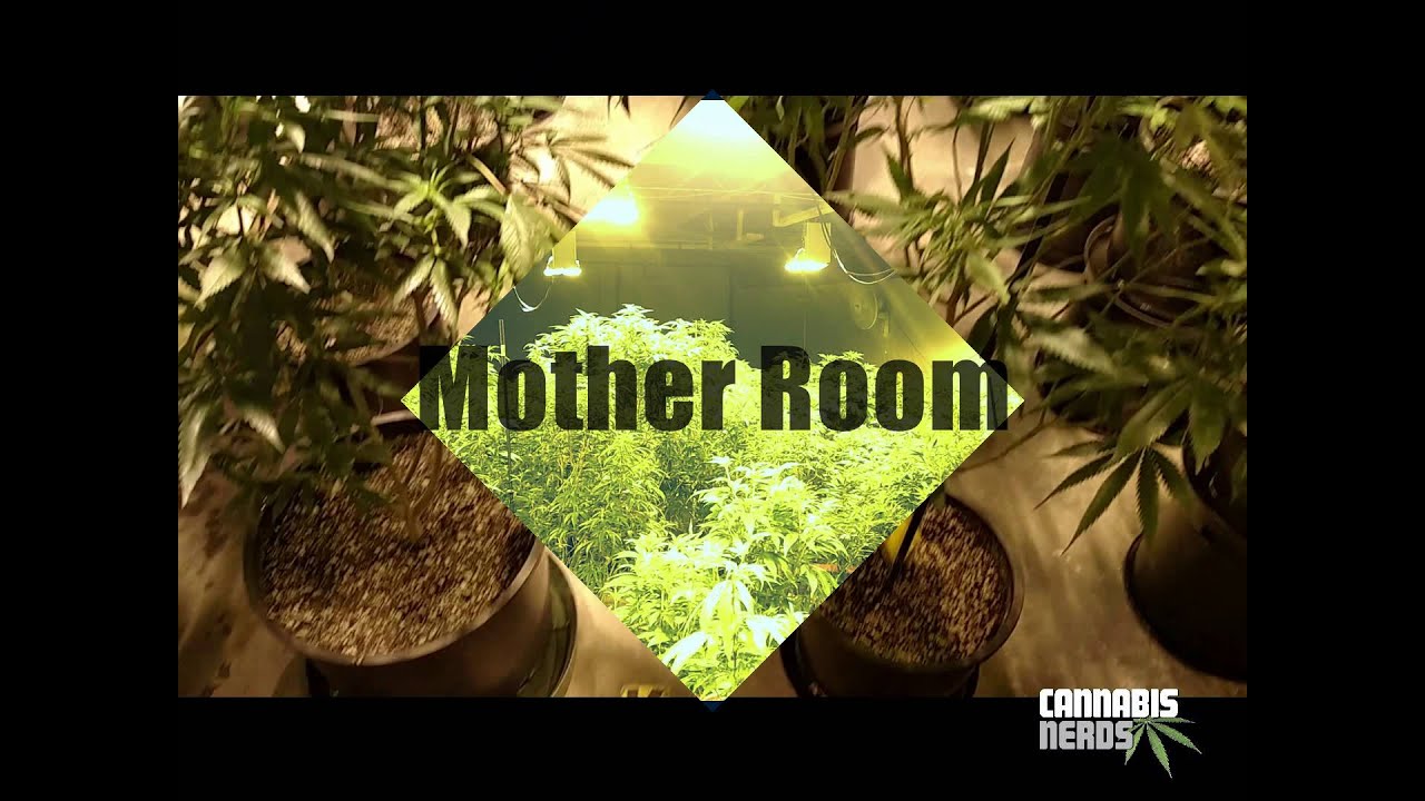 Cannabis Nerds Visits Farmer J's in Spokane, WA - i502 Grow Warehouse.