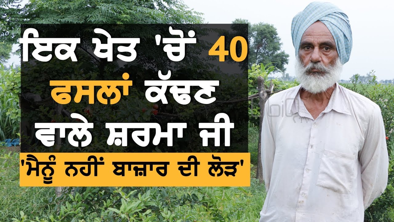 ਸ਼ਰਮਾ ਜੀ ਤੋਂ ਸਿੱਖੋ ਖੇਤੀ ਕਰਨੀ || TV Punjab