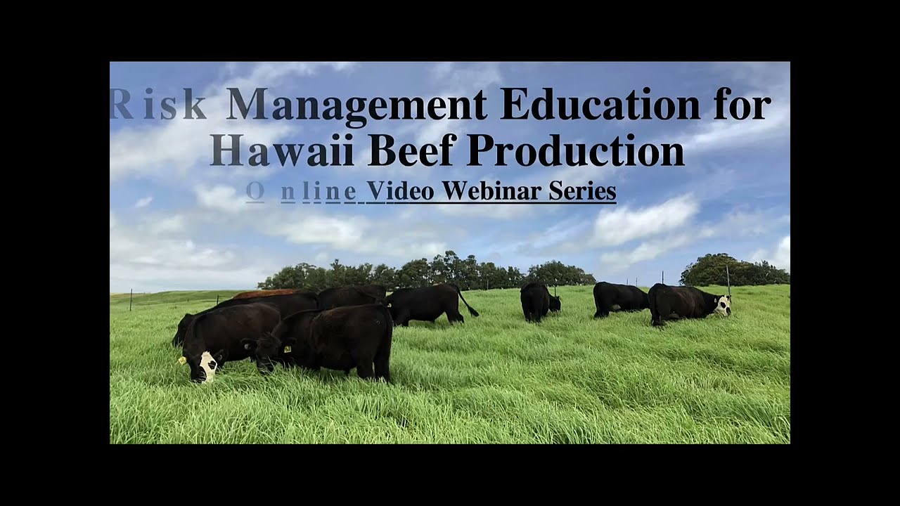 Cattle Market Outlook of 2023 w/ Dr. Dillon Feuz