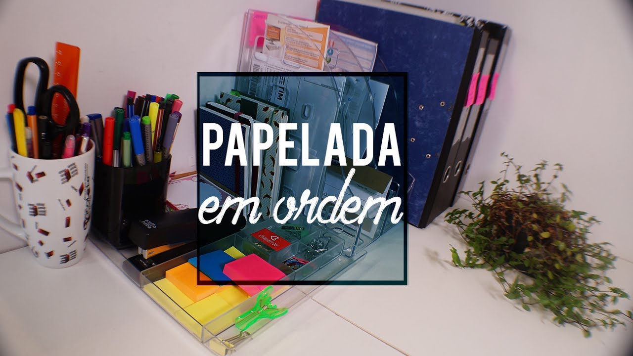 Como Organizar a Papelada e Documento | Organização é Vida