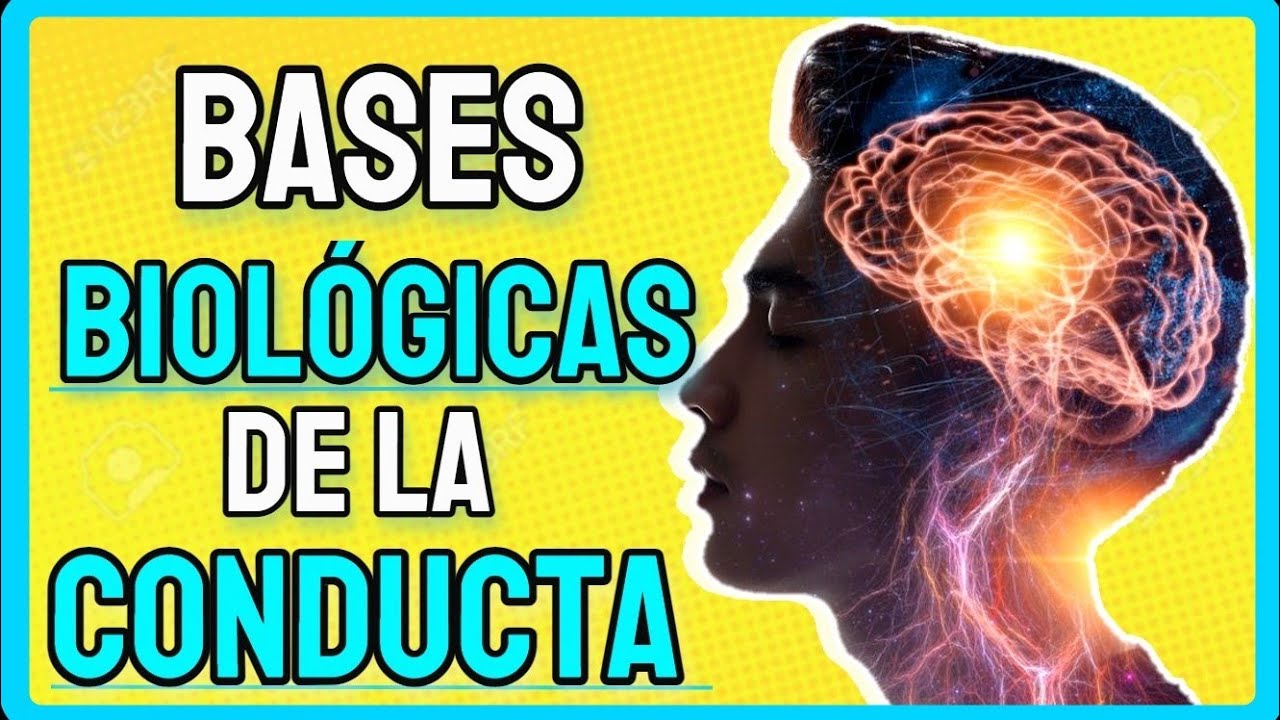 👉&iquest;Cuales son las BASES BIOLOGICAS De La CONDUCTA HUMANA? 🧠✅ (BIEN EXPLICADO)