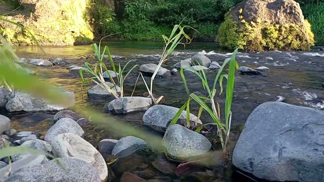 Gentle River Current | Midnight Nature Sounds for Better Sleep