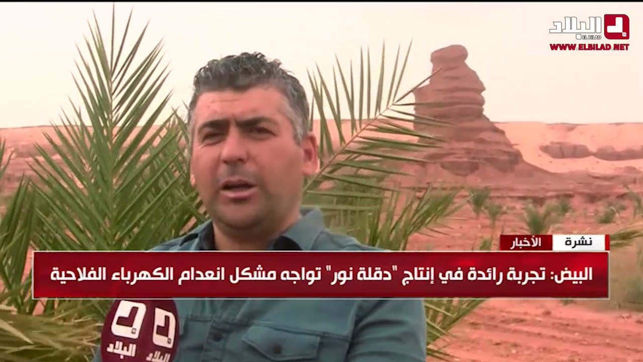 البيض : تجربة رائدة في إنتاج 