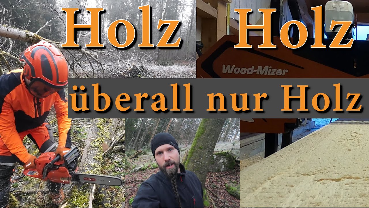 WoodMizer LX50 wieder im Einsatz - wie schaut es im Wald aus - Schneebruch Kathastrophe?
