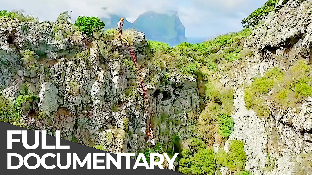 Amazing Quest: Stories from East Coast Australia | Somewhere on Earth: Australia | Free Documentary