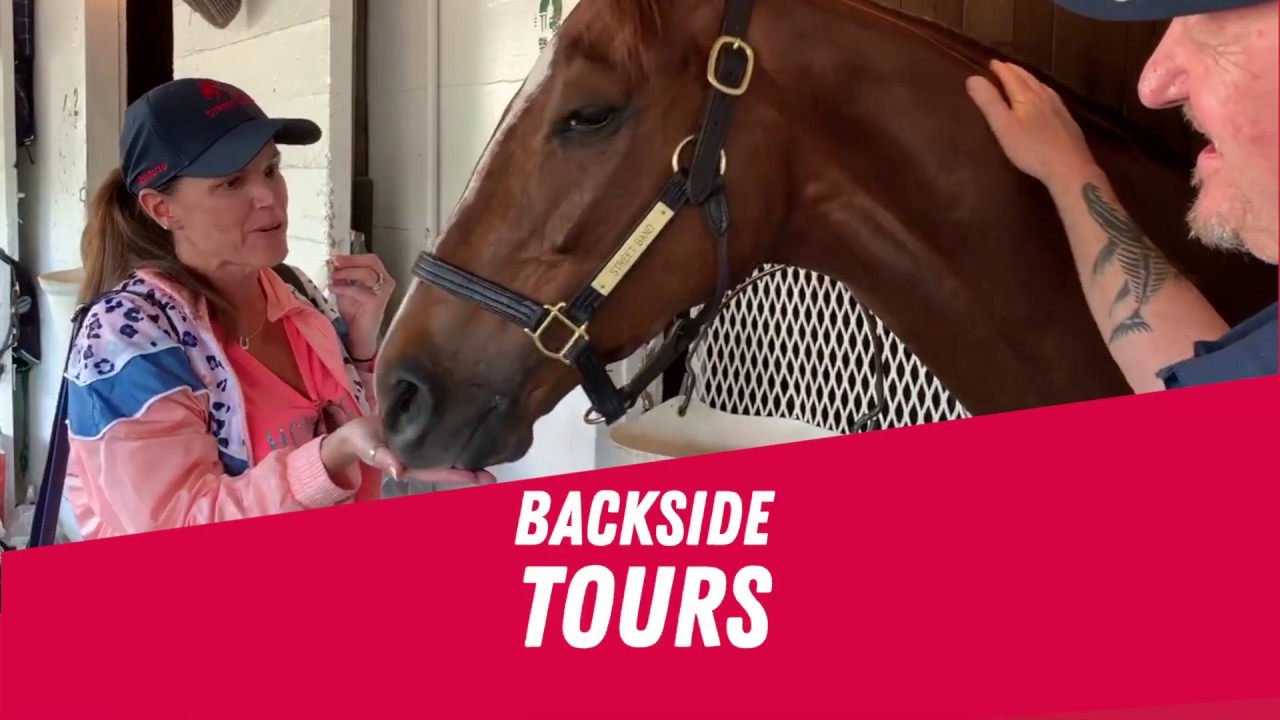 MyRacehorse - Discover the Thrill