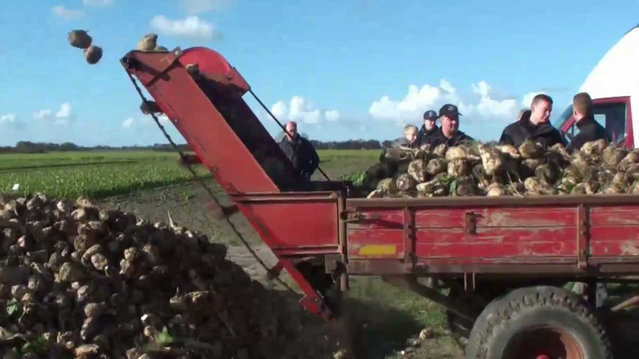 Roeoptagning igennem tiderne. Med heste til maskiner 2013.  10 min.mp4