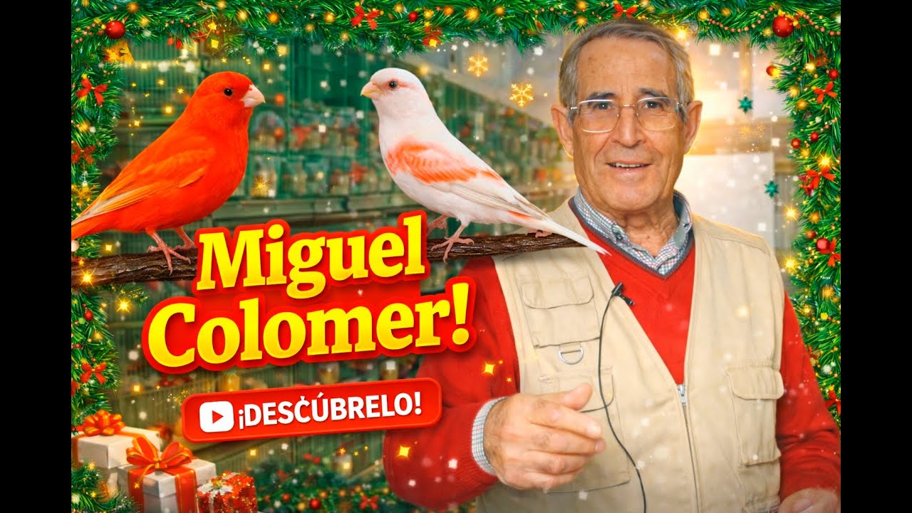 FELIZ NAVIDAD Y A&Ntilde;O NUEVO 2026. Y ACTUALIDAD ORNITOLOGICA.
