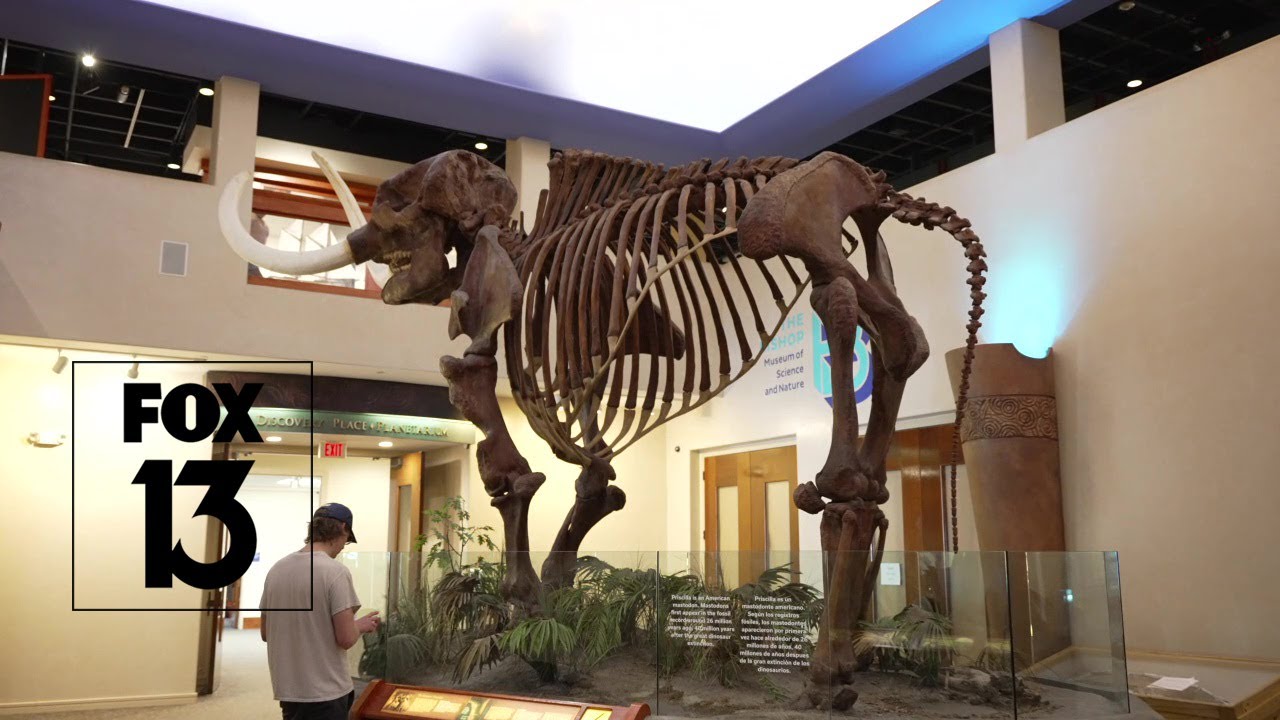 What was Florida like thousands of years ago?