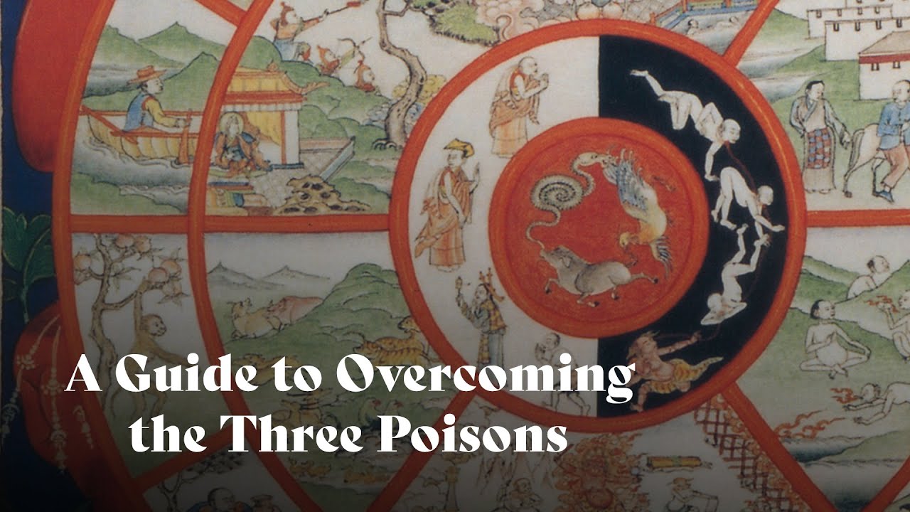 A Guide to Overcoming the Three Poisons | Geshe Namdak