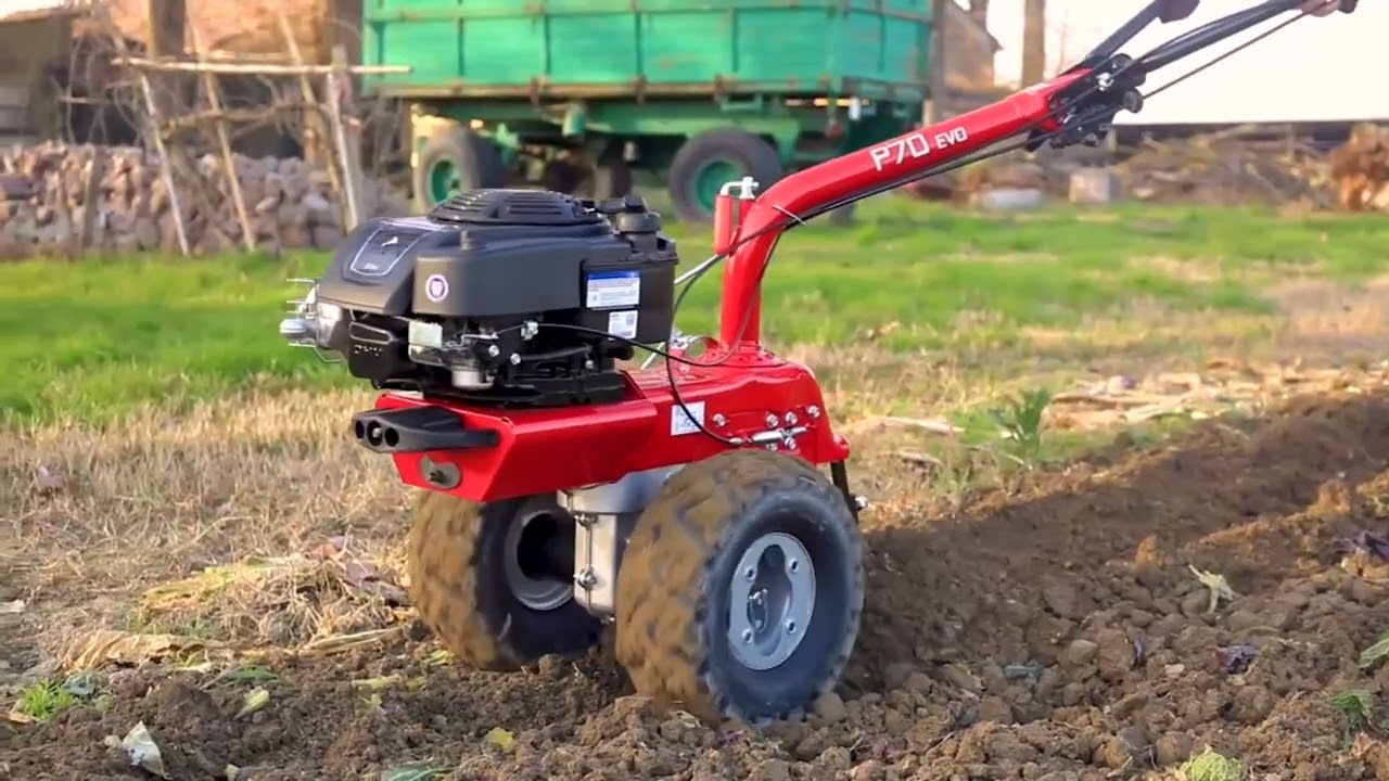 Outil buteur à pomme de terre de Eurosystems P70 EVO