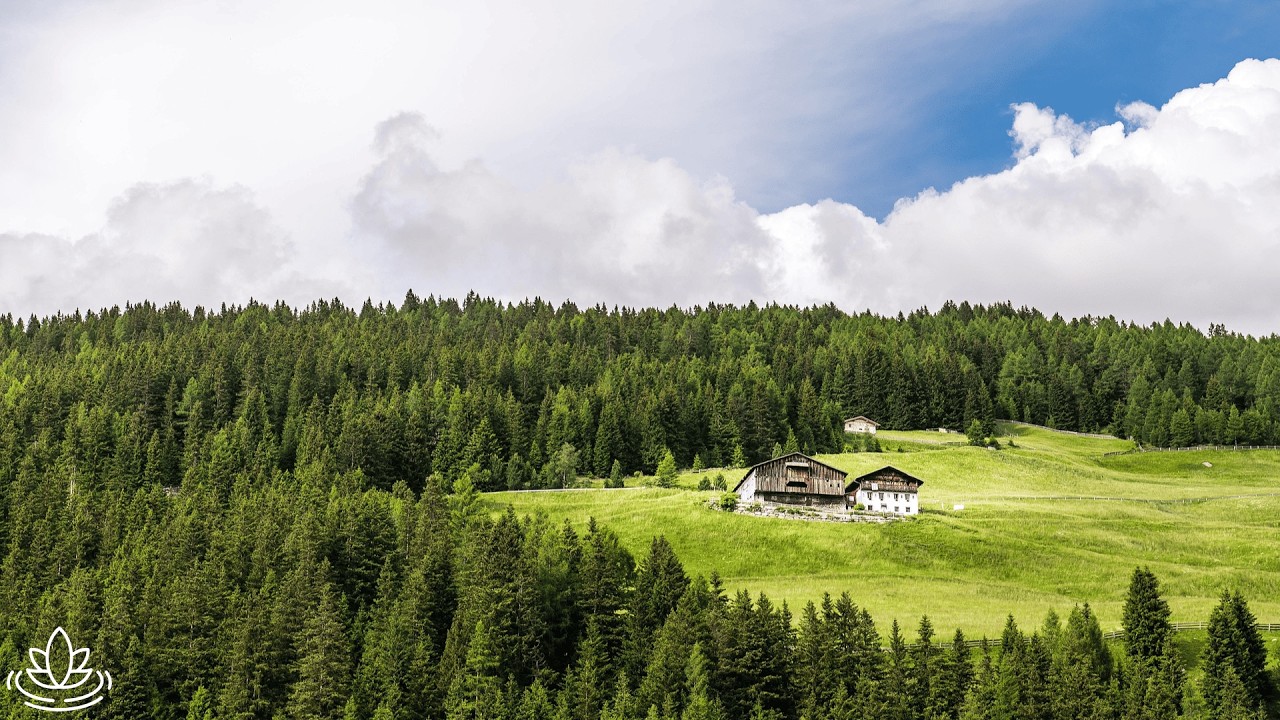 Musique relaxante et sons de la nature : immersion 4K pour une relaxation profonde et apaiser ✨