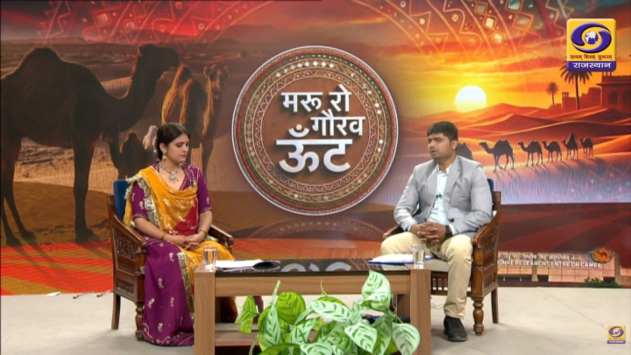 मरू रो गौरव ऊंट |ऊँटनी का दूध अन्य पशुओ की दूध की तुलना में अधिक पौष्टिक और लाभकारी विकल्प |EP10