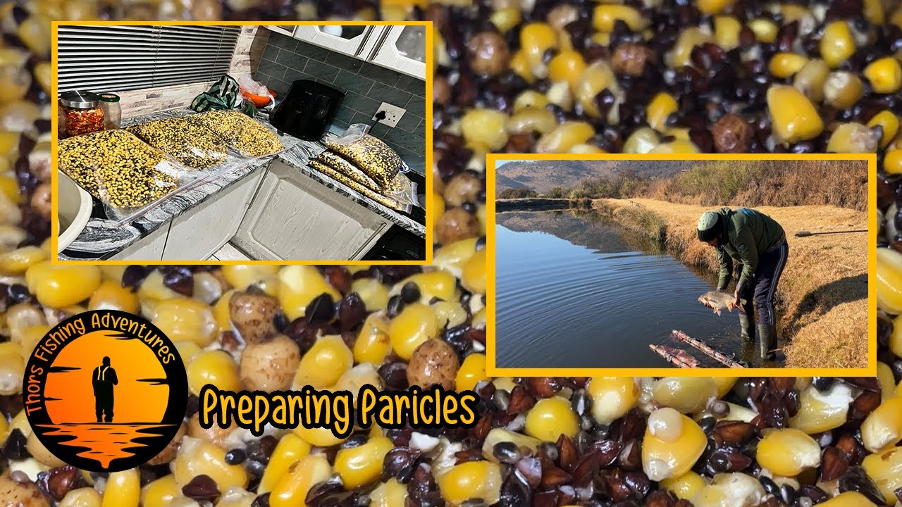 Preparing Particles for Carp Fishing