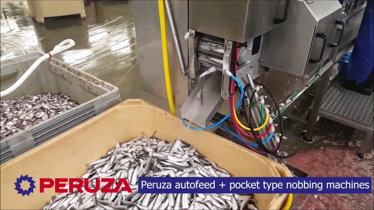 PERUZA Autofeeder + pocket type nobbing