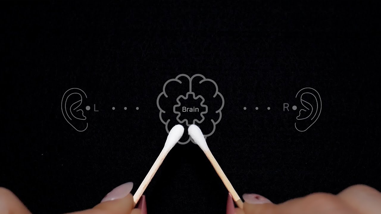 [ASMR] Both Ears → Through The Brain🧠 Tingles 99.999% (No Talking)