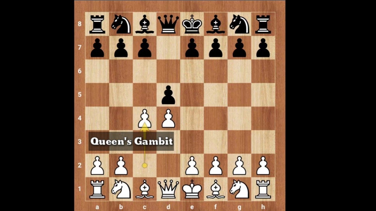 Alexander Alekhine beats Lasker by Sacrificing his Queen 🔥🔥 || 2 Minutes Chess