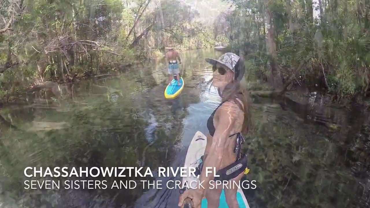 Free diving and paddleboarding on Chassahowitzka River, Florida, Wave of Wellness