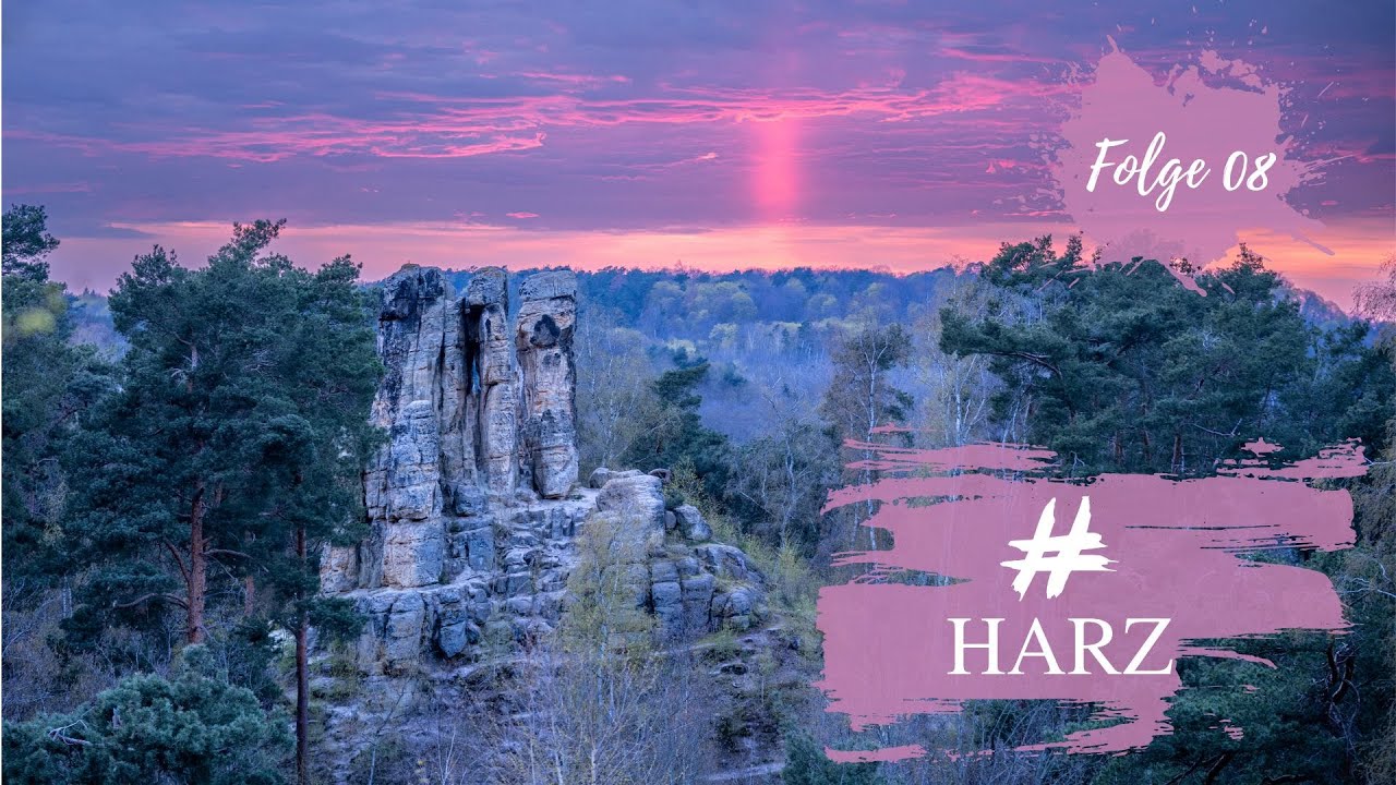 #HARZ 08 // Wilde Tiere an den Klusfelsen in Halberstadt? 🐺 - Eine unvergessliche Nacht! 😱 //
