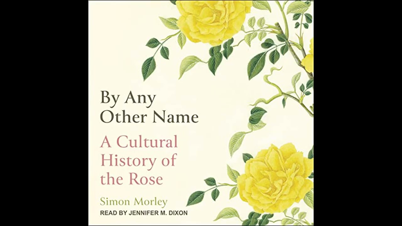 Audiobook: By Any Other Name - Simon Morley Audiobook