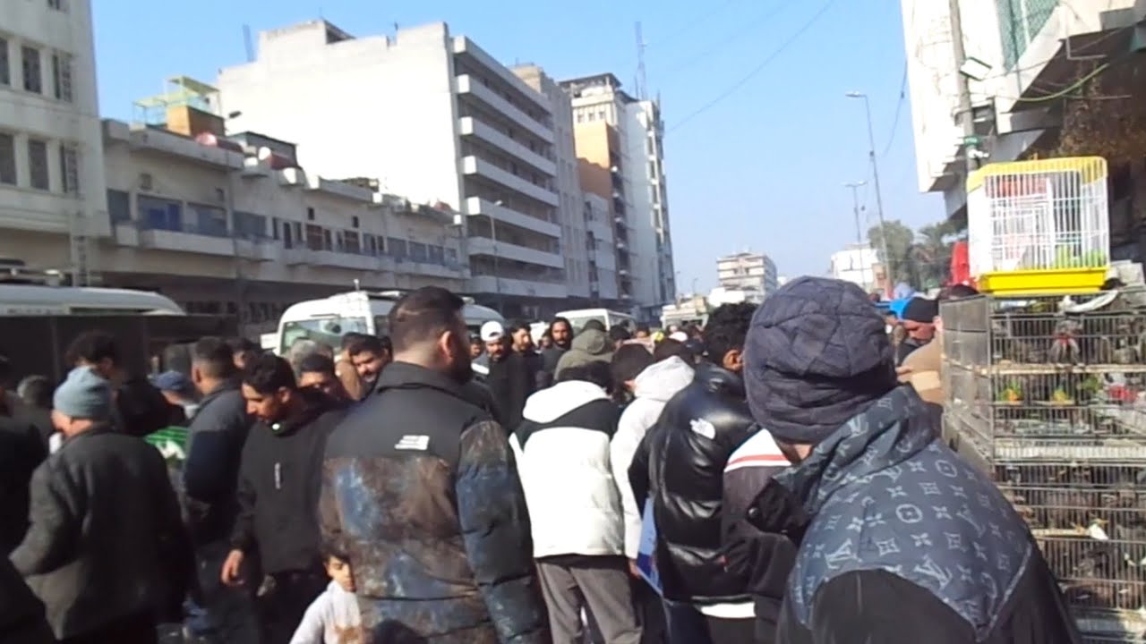 سوق الغزل للطيور والحيوانات بغداد مع الاسعار 