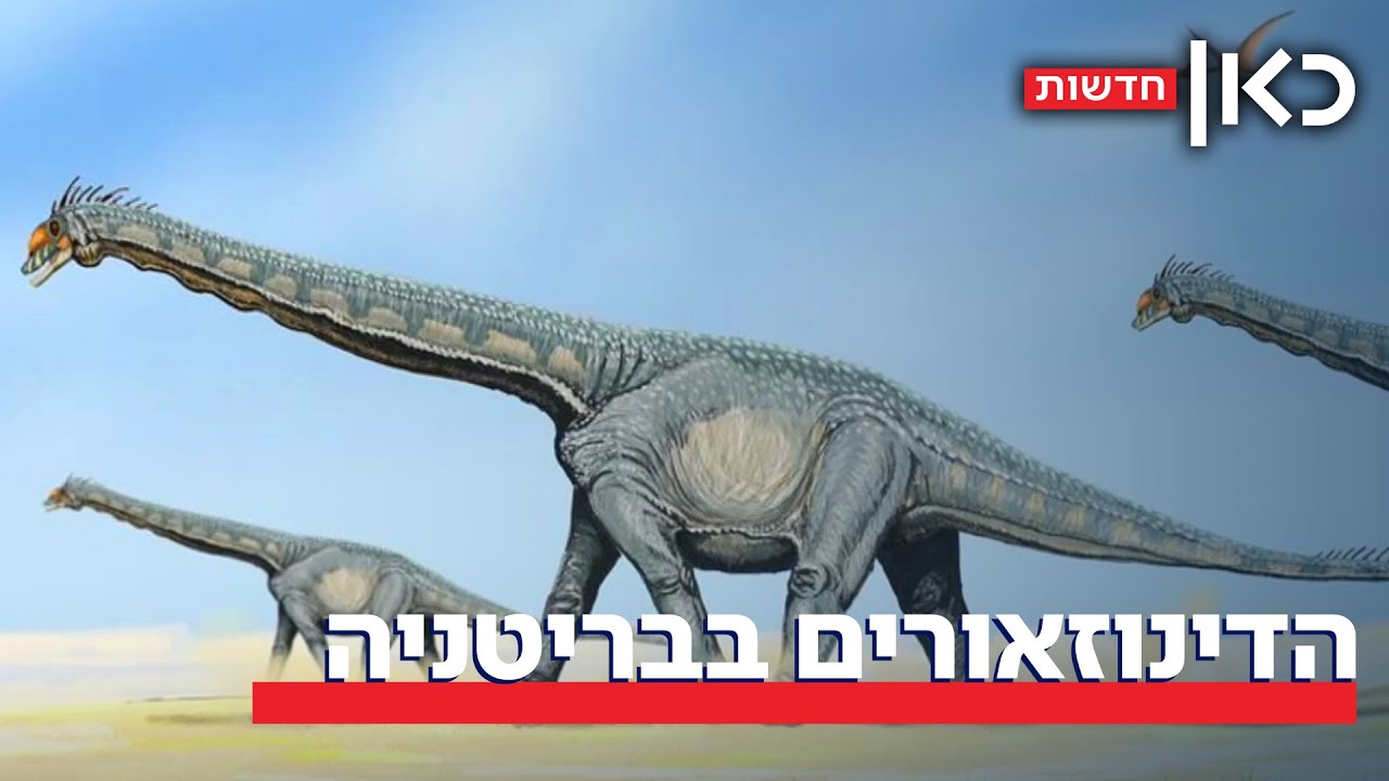 פארק היורה, גרסת המציאות? עקבות הדינוזאורים הענקיות שהתגלו בבריטניה 🦕