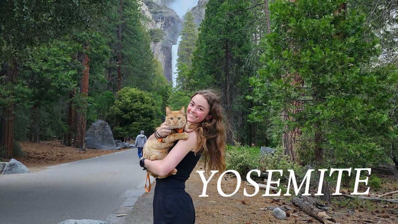 Hiking The TALLEST Waterfall In North America With My CAT!! | Yosemite National Park